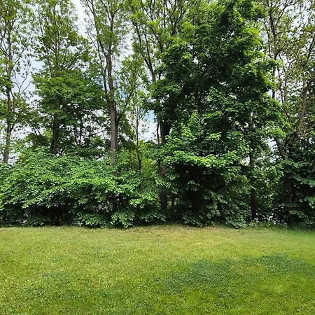 Essenzapartment Hof, Smart-Checkin, Parkplatz, Wlan600Mbit Lejlighed *