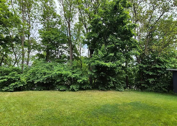 Essenzapartment Hof, 24h Checkin, Parkplatz, Wlan300mbit Appartement *